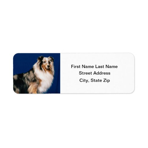 Shetlie Merle Label