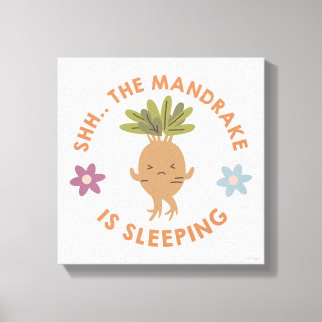 Shh.. The Mandrake Is Sleeping Canvas Print (Front)