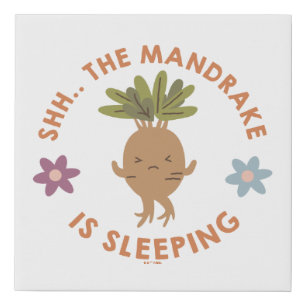 Shh.. The Mandrake Is Sleeping Faux Canvas Print