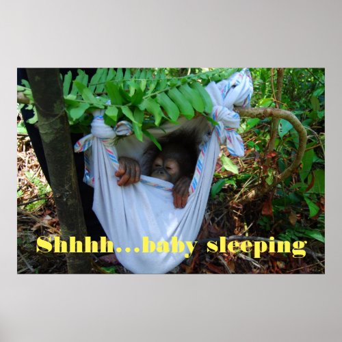 Shhh Baby Sleeping Poster