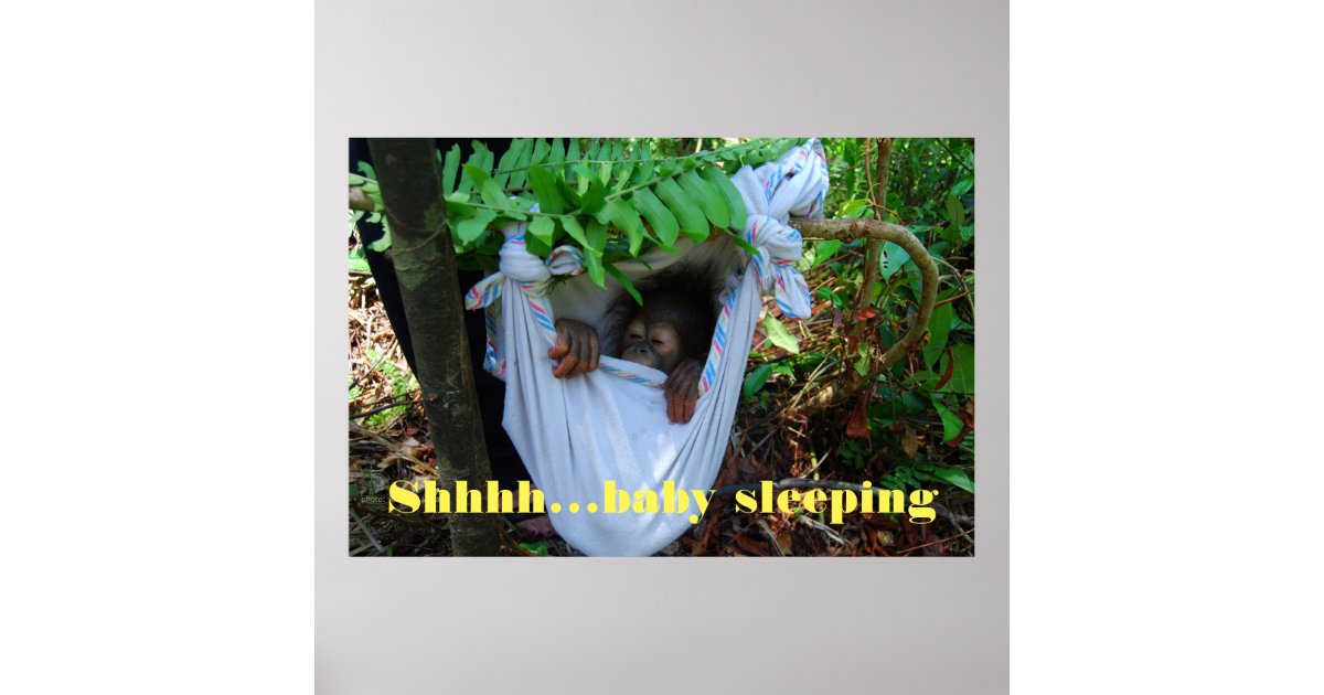 Shhh Baby Sleeping Poster Zazzle