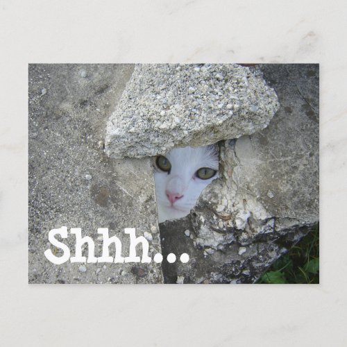 Shhh surprise party Cute cat hiding Invitation