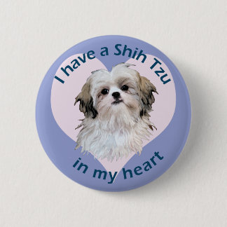 Shi Tzu in My heart Pinback Button