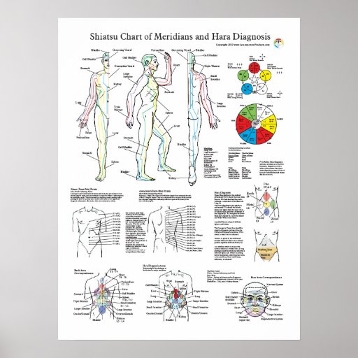 Shiatsu Acupuncture Meridians And Hara Diagnosis Poster Zazzle 5748