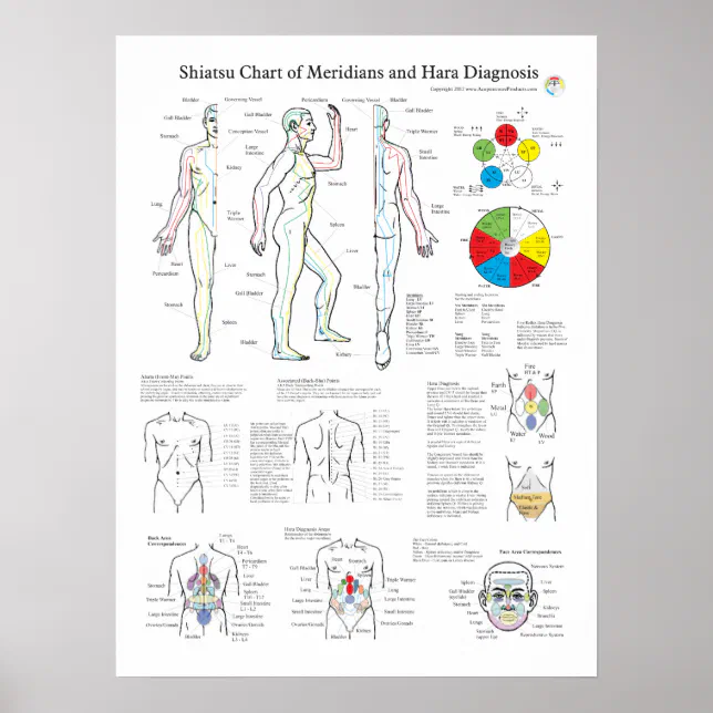 Shiatsu Acupuncture Meridians And Hara Diagnosis Poster Zazzle 2811