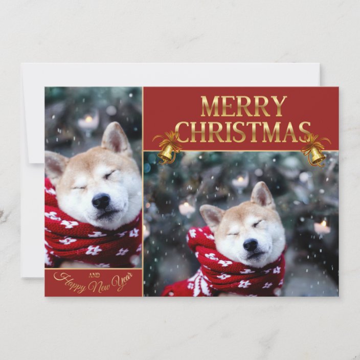 christmas shiba
