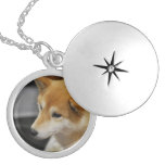 shiba-inu-2.jpg locket necklace