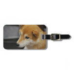 shiba-inu-2.jpg luggage tag
