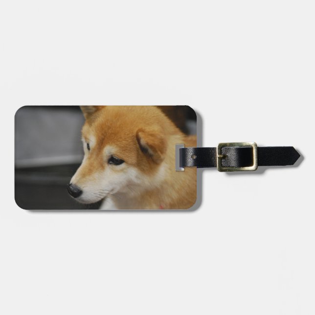 shiba-inu-2.jpg luggage tag (Front Horizontal)