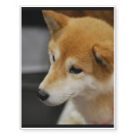 shiba-inu-2.jpg temporary tattoos