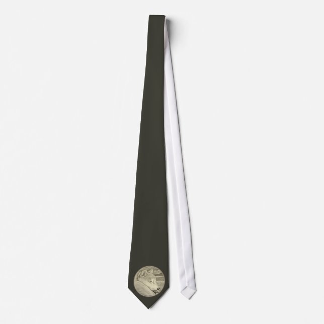 Shiba Inu Art Ties Stylish Dog Lover Ties (Front)