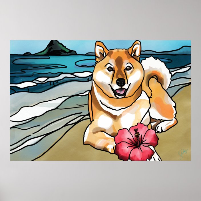 hawaii shiba inu