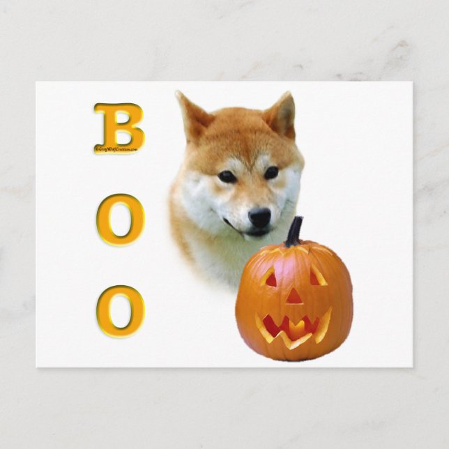 Shiba Inu Boo Postcard (Front)