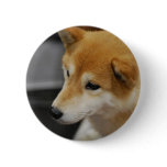 Shiba Inu Button