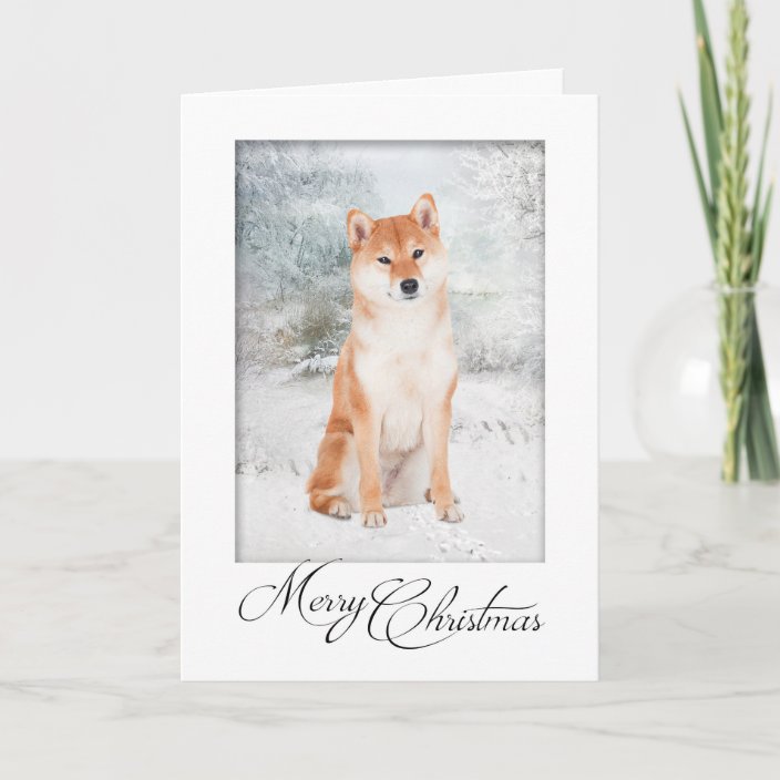 Shiba Inu Christmas Card