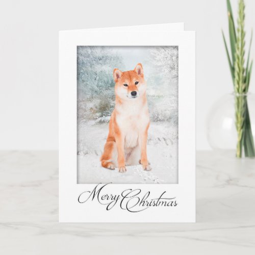 Shiba Inu Christmas Card