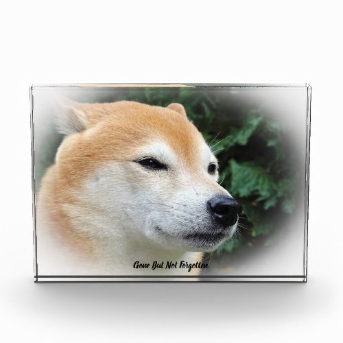 Shiba Inu Dog Acrylic Award