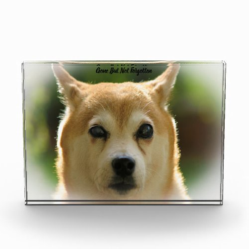 Shiba Inu Dog Acrylic Award