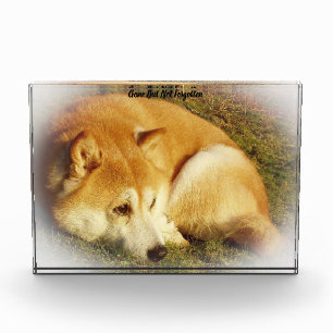 Shiba Inu Dog Acrylic Award