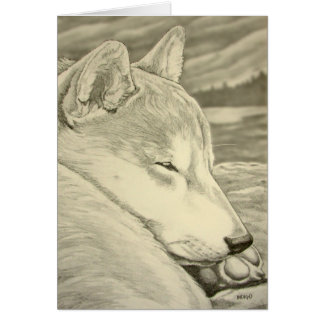 Shiba Inu Dog Art Cards Blank Shiba Inu Cards