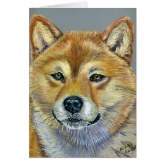 Shiba Inu Dog Art - Suki Cards