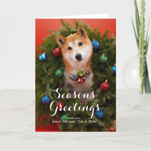 Shiba Inu dog Holiday Card