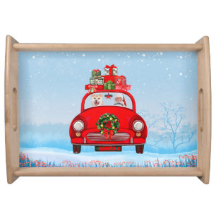 Shiba Inu Dog In Car With Santa Claus Serving Tray