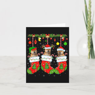 Shiba Inu Dog In Christmas Socks Funny Dog Xmas Pa Card