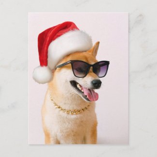 Shiba Inu dog in Santa Claus red hats Postcard