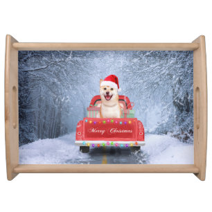 Shiba Inu Dog in Snow sitting in Christmas Truck Serving Tray