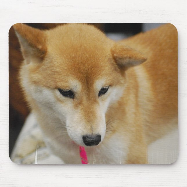 Shiba Inu Dog  Mouse Pad (Front)