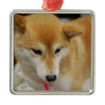 Shiba Inu Dog  Ornament