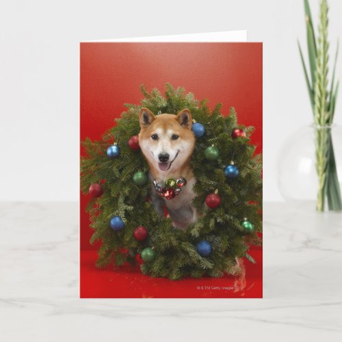 Shiba Inu dog sitting in Christmas wreath Holiday Card