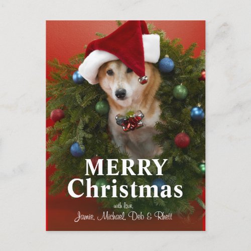 Shiba Inu dog sitting in Christmas wreath Holiday Postcard