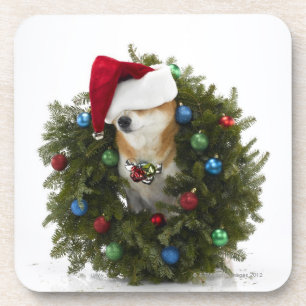 Shiba Inu dog wearing Santa hat sitting in Drink Coaster