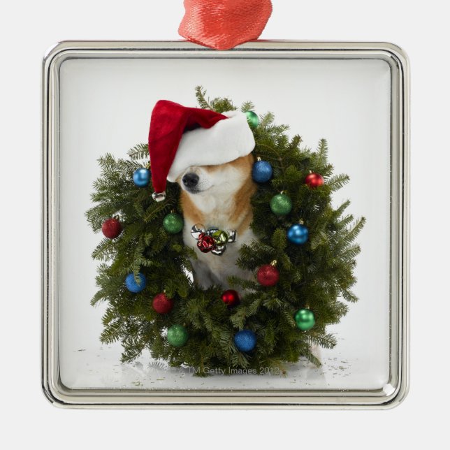 Shiba Inu dog wearing Santa hat sitting in Metal Ornament (Front)