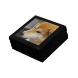 Shiba Inu Gift Box
