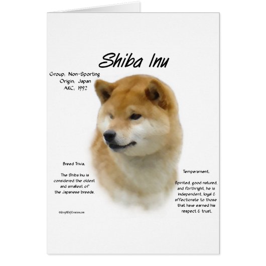 Shiba Inu History (Front)
