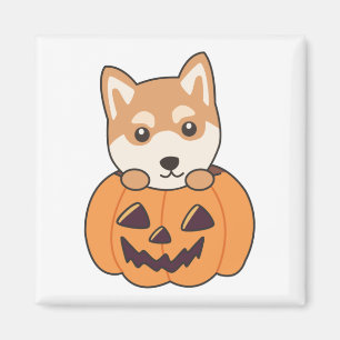 Shiba Inu In Pumpkin Sweet Dogs Happy Halloween Ma Magnet