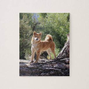 Shiba Inu Jigsaw Puzzle
