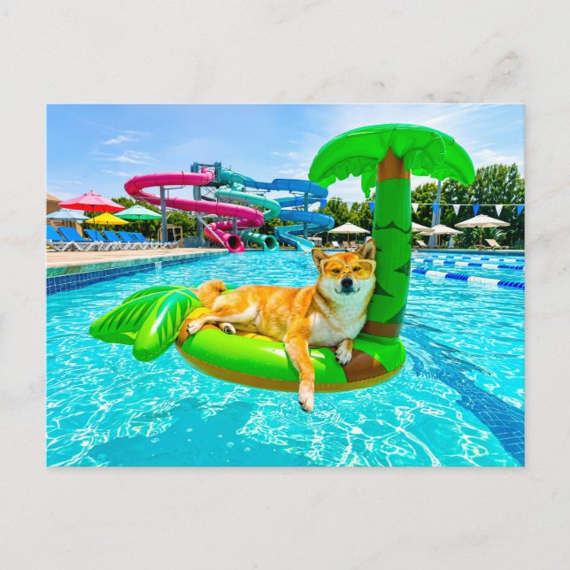 Shiba Inu on palm float Postcard (Front)