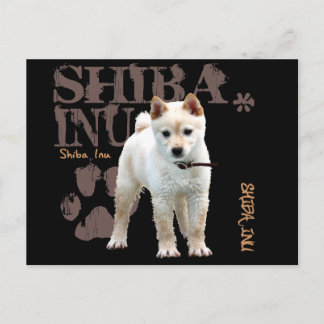 Shiba Inu Postcard