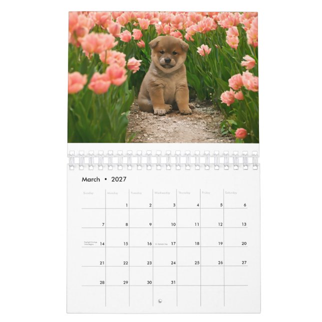 Shiba Inu Puppies Calendar (Mar 2027)