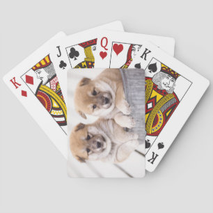 Shiba Inu puppies in aluminum tub tub Poker Cards
