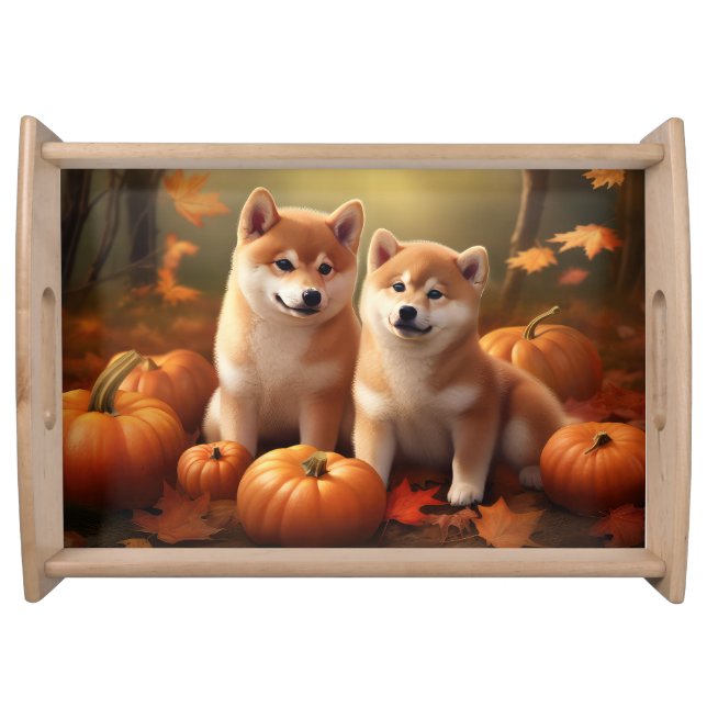 Shiba Inu Puppy Autumn Delight Pumpkin Serving Tray (Front)