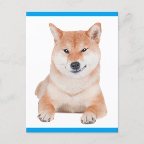 Shiba Inu Puppy Dog Greeting Post Card