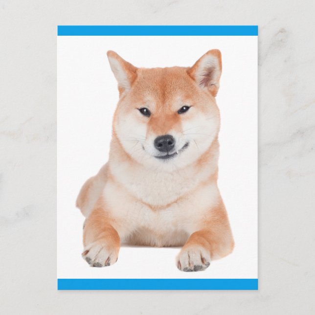 Shiba Inu Puppy Dog Greeting Post Card (Front)