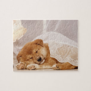 Shiba Inu puppy sleeping under a net curtain Jigsaw Puzzle