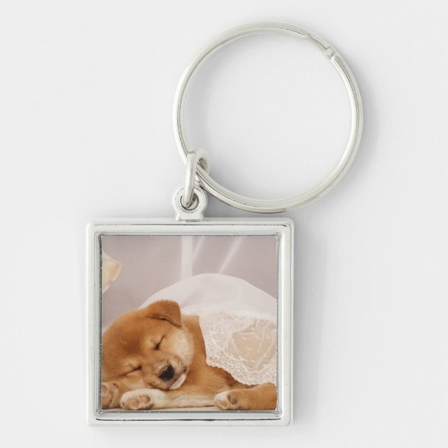 Shiba Inu puppy sleeping under a net curtain Keychain (Front)
