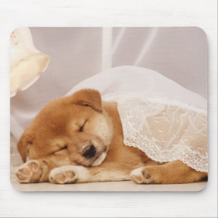 Shiba Inu puppy sleeping under a net curtain Mouse Pad